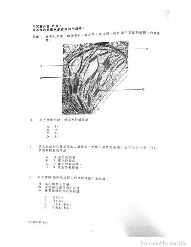 真题 Paper 1(中文)