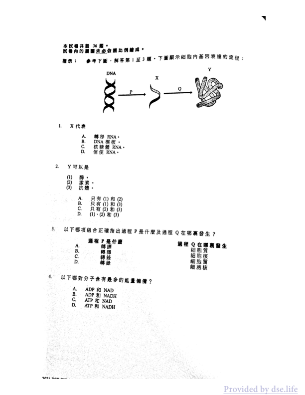 真题 Paper 1(中文)